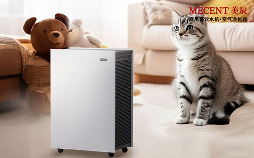 寵物家庭除味攻略：活性炭濾網(wǎng)真的能搞定寵物異味嗎？